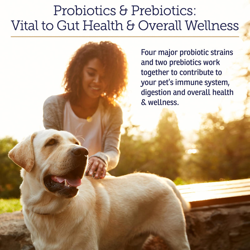 Rx Vitamins Rx Biotic - Probiotic Powder for Dogs and Cats - 1.25oz | Cat & Dog Probiotics for Digestive Health - Supports Gut Health for Dogs & Cats with Prebiotics New Label