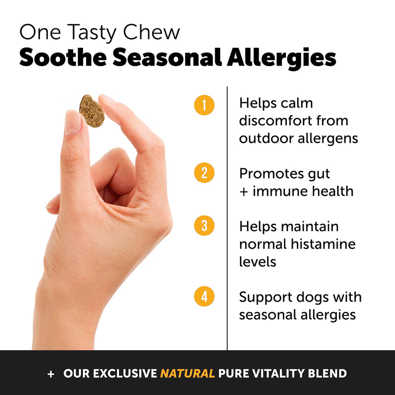 PetHonesty Chlorhexidine Shampoo + Allergy Support Soft Chew Bundle - All-Natural Dog Vitamins, Fish Oil for Dogs, Omega 3 for Dogs, Itch Relief, Shiny Dog Coat, Dog Shampoo for Allergies - PawsPlanet Australia