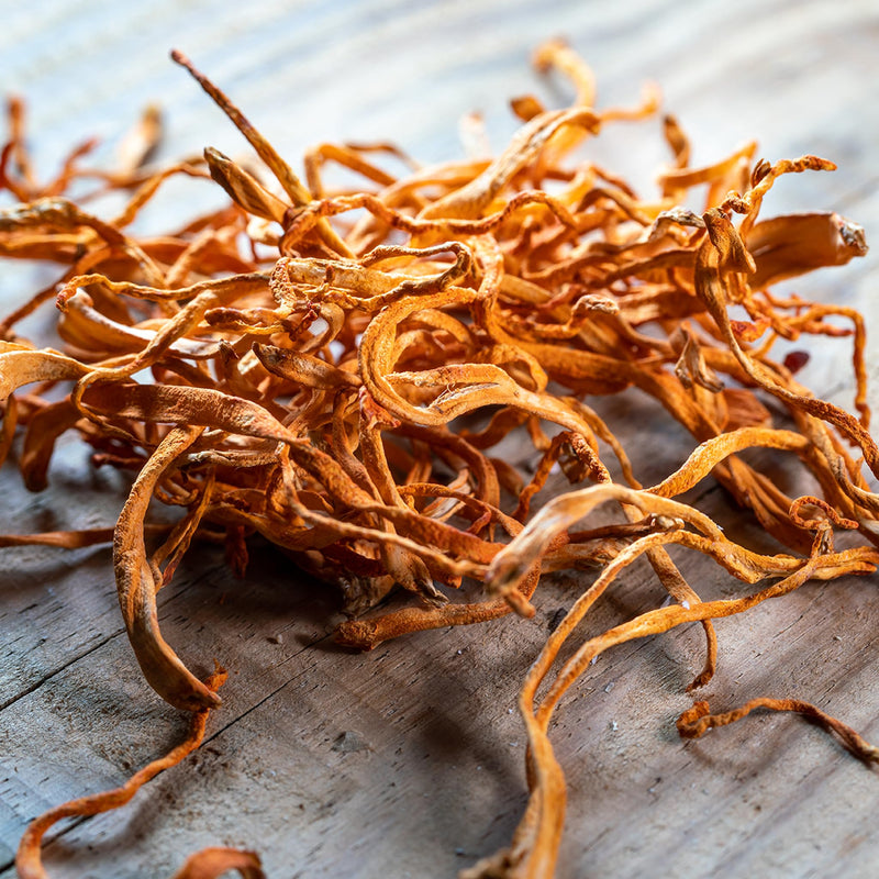 Na'vi Organics Cordyceps Militaris Mushroom Powder | Premium Full Spectrum Fruiting Body Extract | Supports Energy, Immunity & Overall Vitality Naturally - 70g 70 g (Pack of 1)