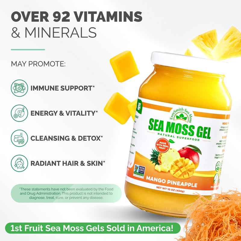 Wildcrafted Irish Sea Moss Gel, Mango Pineapple, 1 Jar | Made in USA, Rich in Nutrients, Sea Moss Gel Raw, Vegetables & Fruits, Sustainably Harvested, Essential Vitamins and Minerals