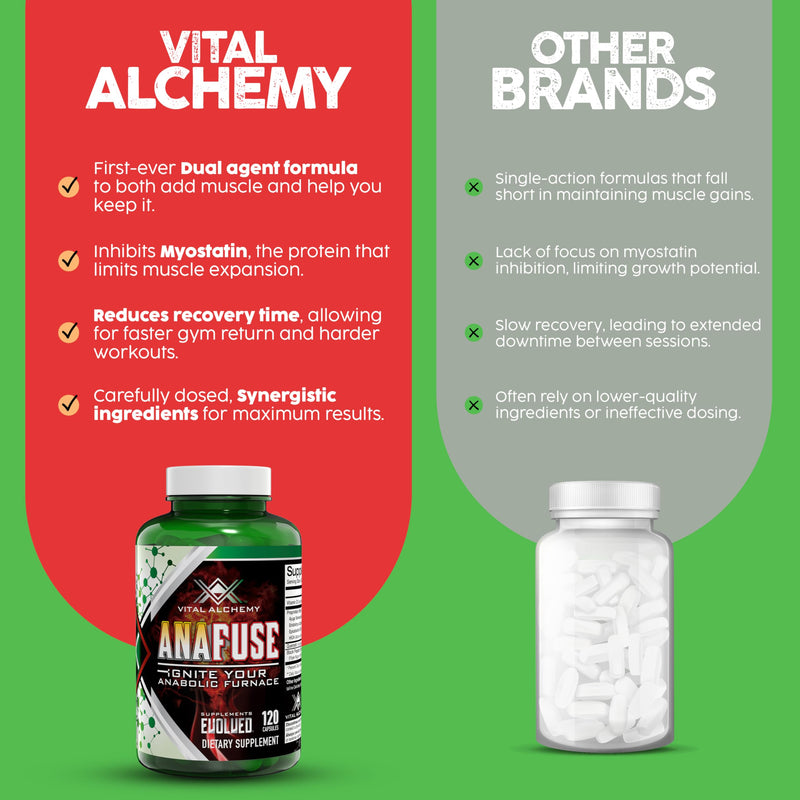 Vital Alchemy Anafuse Turkesterone Supplement for Men, Epicatechin, Quercetin, Black Pepper, and More - Increase Stamina, Lean Muscle Growth & Recovery - USA Made & Non-GMO - 120 Vegan Capsules