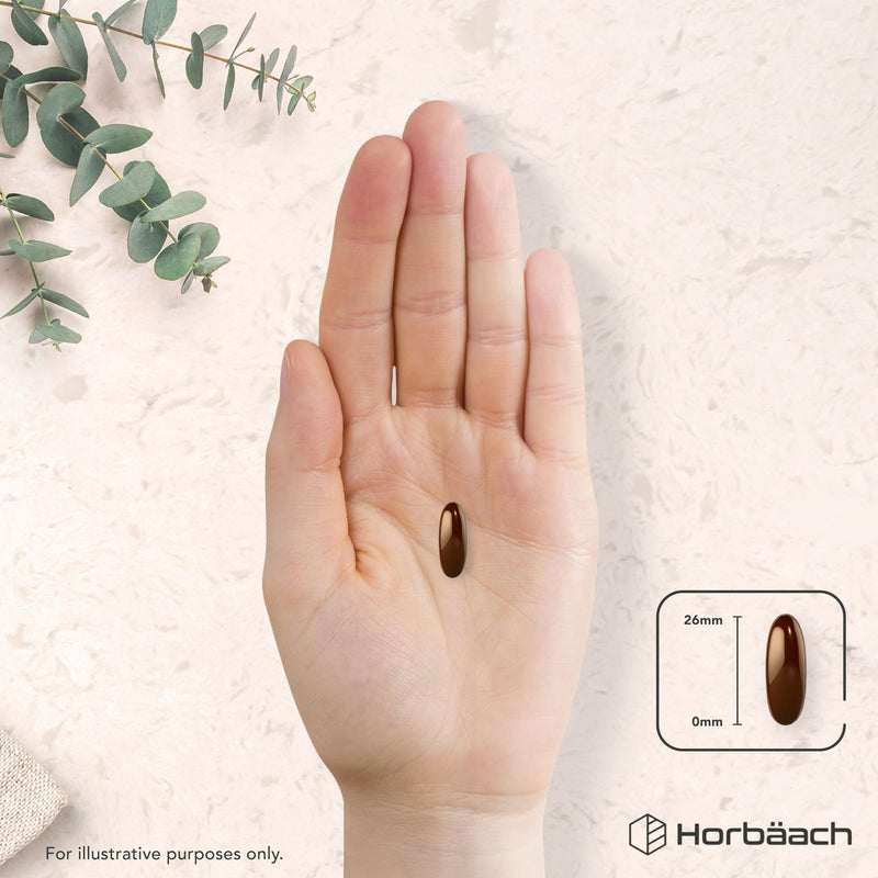 Lecithin Capsules 1400mg | High Strength Soy Lecithin Supplement | Sourced from Soy Beans | 90 Softgels | By Horbaach