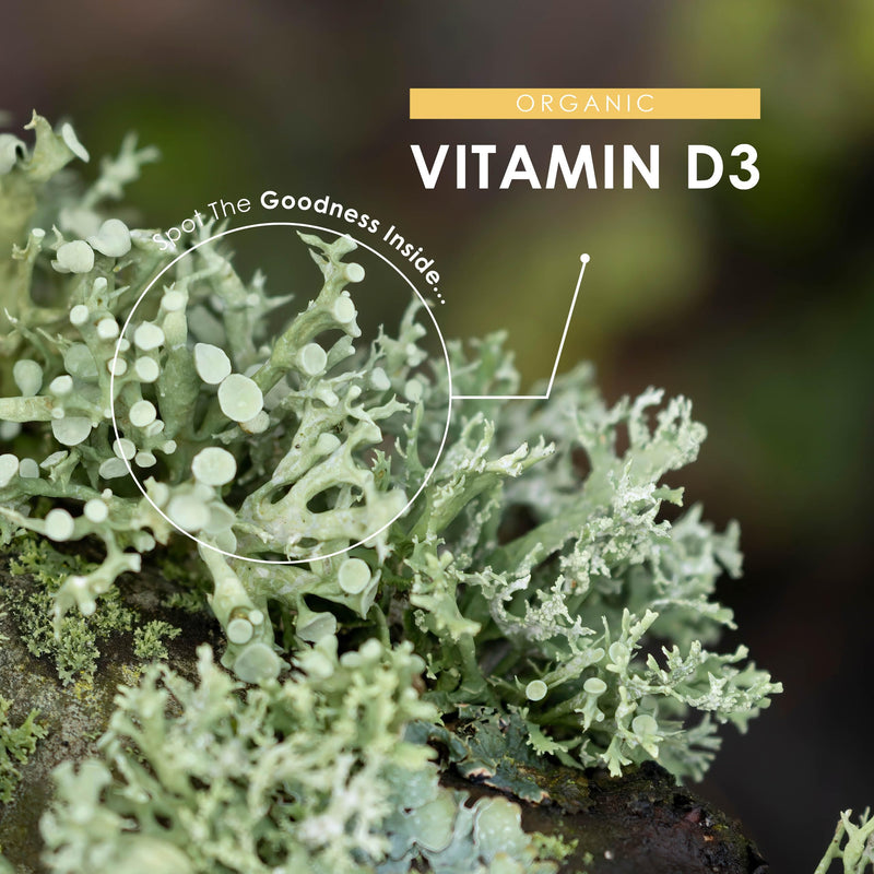 Organic Vitamin D3 4000 IU – 100% Plant Based (Lichen & Cassava) - 60 Vegan Capsules (2 Months Supply) – Resealable and Recyclable Pouch by Alpha01