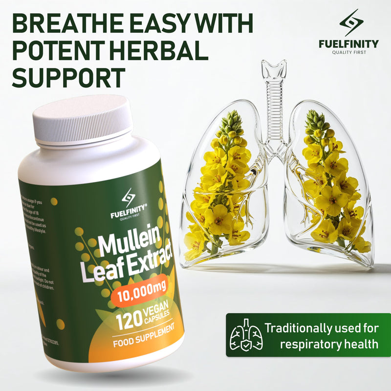 Mullein Leaf Extract for Lungs - 10,000 mg – Lung Cleanse & Lung Detox for Smokers – 120 Capsules - High Strength Respiratory Support - FuelFinity® - Vegan 1 Large Pack