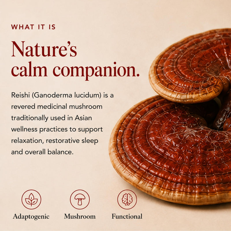 Ancient Extracts Reishi Mushroom Powder 15:1 Extract (60 servings) | Promotes Immune Health & Stress Support | 1 Serving Equals 15,000mg of Raw Mushroom | 30% Beta Glucans | Tested for Purity & Safety