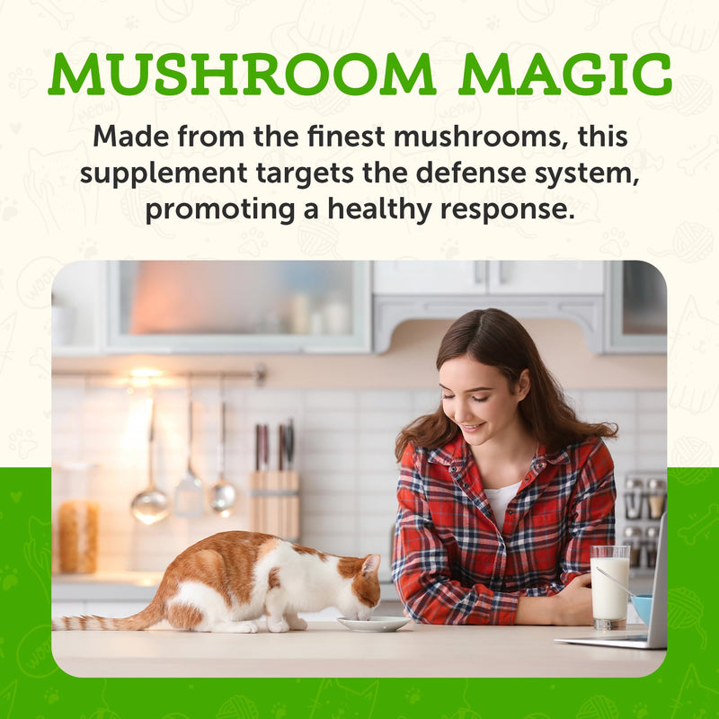 Animal Essentials Combat Turkey Tail Mushroom Supplement for Dogs & Cats - Critical Immune Defense, Supports Cognitive Function, Mushroom Powder Extract, Organic Turkey Tail - 2.5 Oz (Pack of 1) - PawsPlanet Australia