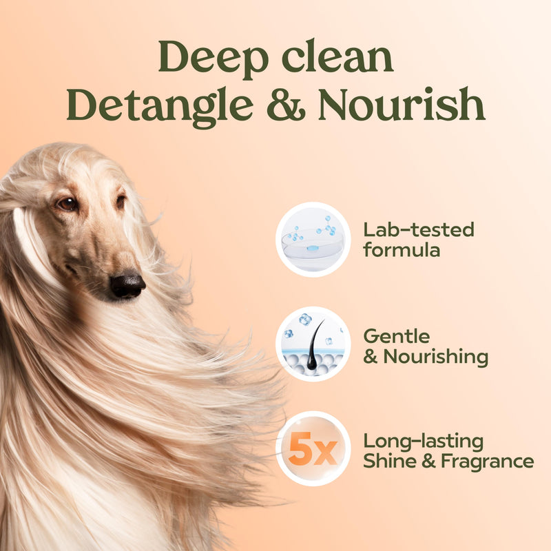 Pawfume Dog Ear Cleaner + Dog Shampoo and Conditioner - PawsPlanet Australia