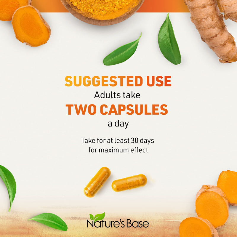 [Australia] - Turmeric Curcumin Supplement with Ginger & Apple Cider Vinegar (240 Count) - BioPerine Black Pepper, Tumeric & Ginger - 95% Curcuminoids & Joint Supplement - Antioxidant Tumeric Supplements Capsules 240 Count (Pack of 1) 