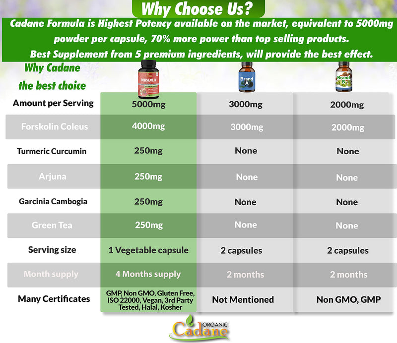 [Australia] - 2 Packs Organic Forskolin Supplements Capsules 5000mg with Turmeric, Arjuna, Garcinia Cambogia, Green Tea - Maximum Strength Coleus Forskohlii Extract - Support Energy Production & Immune System 