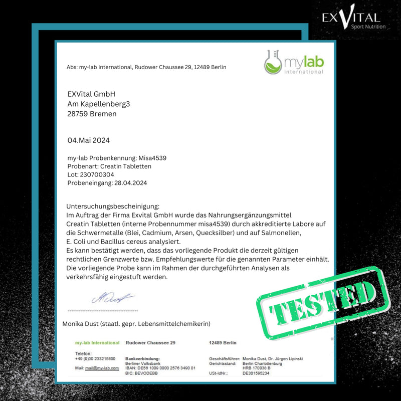 [Australia] - Creatine 3000 Giga Tabs, 3450mg creatine monohydrate per daily dose, 300 vegan tablets, alternative to creatine capsules & powder, training, sport, fitness 