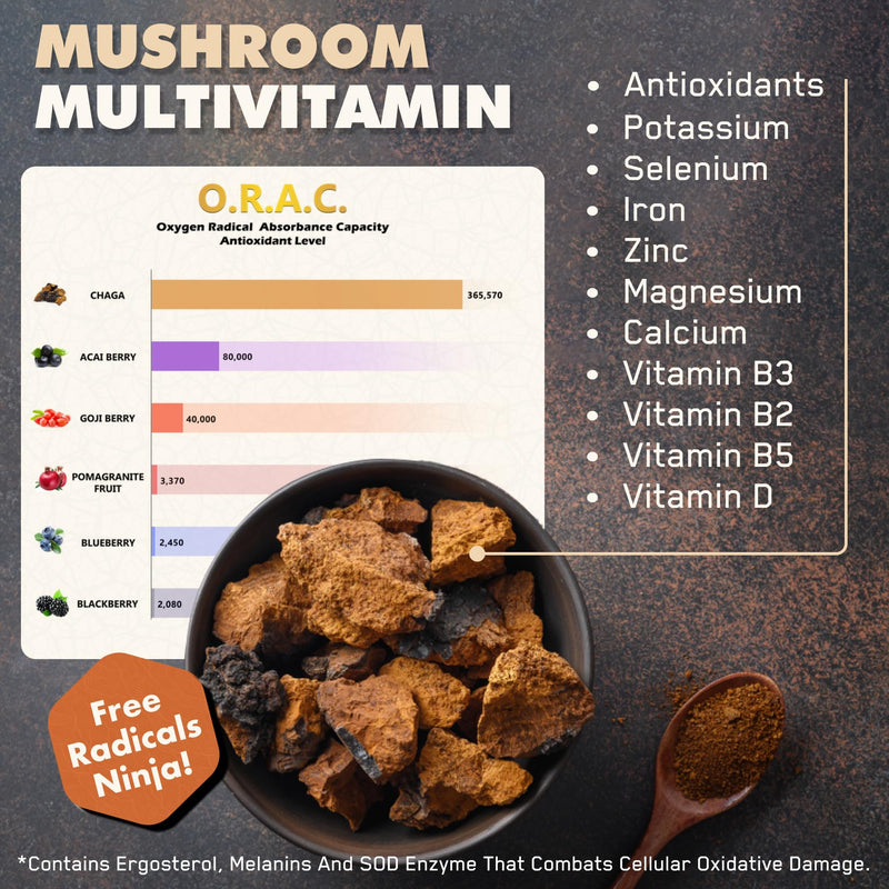 ● Premium Siberian Chaga Mushroom Extract Powder ● 10% Beta-D-Glucans ● 10:1 Concentrate ● No Fillers & Additives ● 30g ● 1 Month Supply