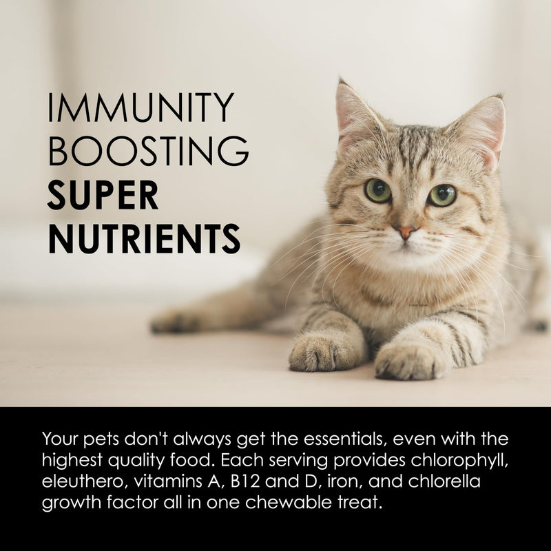 Sun Chlorella Sun Pet Treats Green Superfood Cat & Dog Supplement - Chlorophyll Eleuthero & Lecithin, Minerals, Antioxidants & Vitamins for Dogs & Cats - Immune Defense, Skin & Gut Health - 120 Bites - PawsPlanet Australia