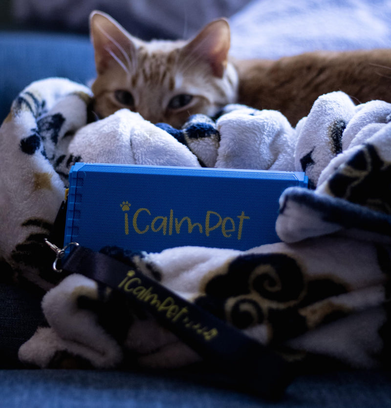 Cool Cat Gold Pak | iCalmPet Ruff 'n Ready Portable Speaker with 3-hr MicroSD Cat Calming Classical - PawsPlanet Australia