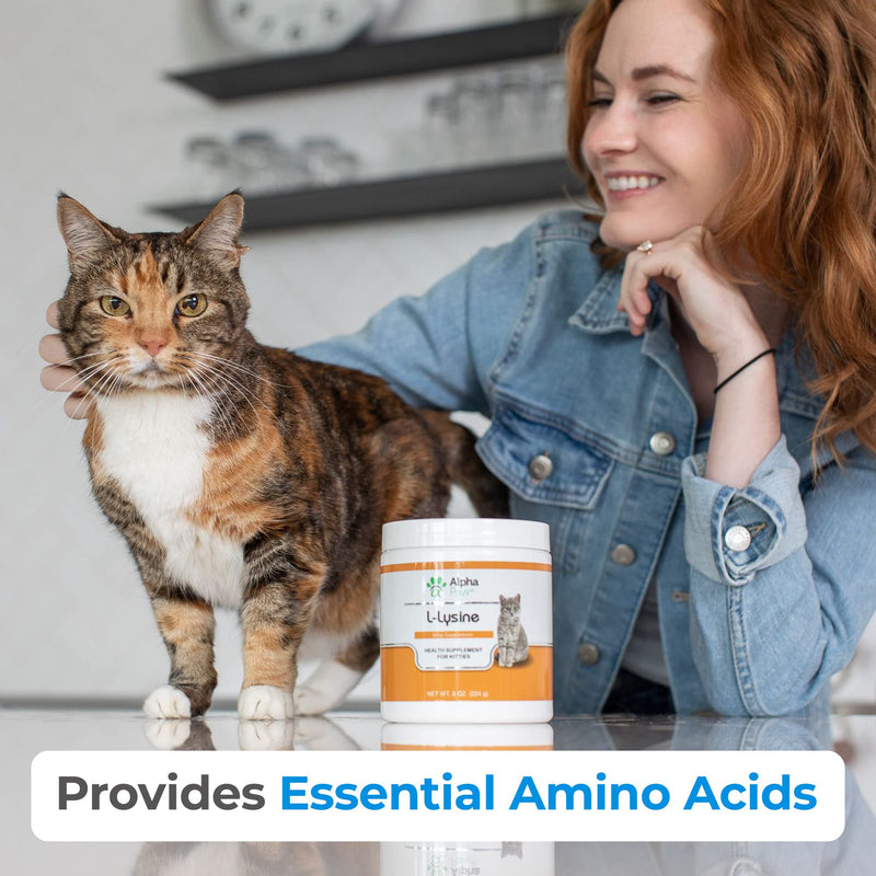 [Australia] - Alpha Paw - Human Grade for Pets - Cat Lysine Supplement - Extra Servings 5-10 Month Supply - Natural Lysine (8 Ounces/225 Grams) 8 Ounce (Pack of 1) 