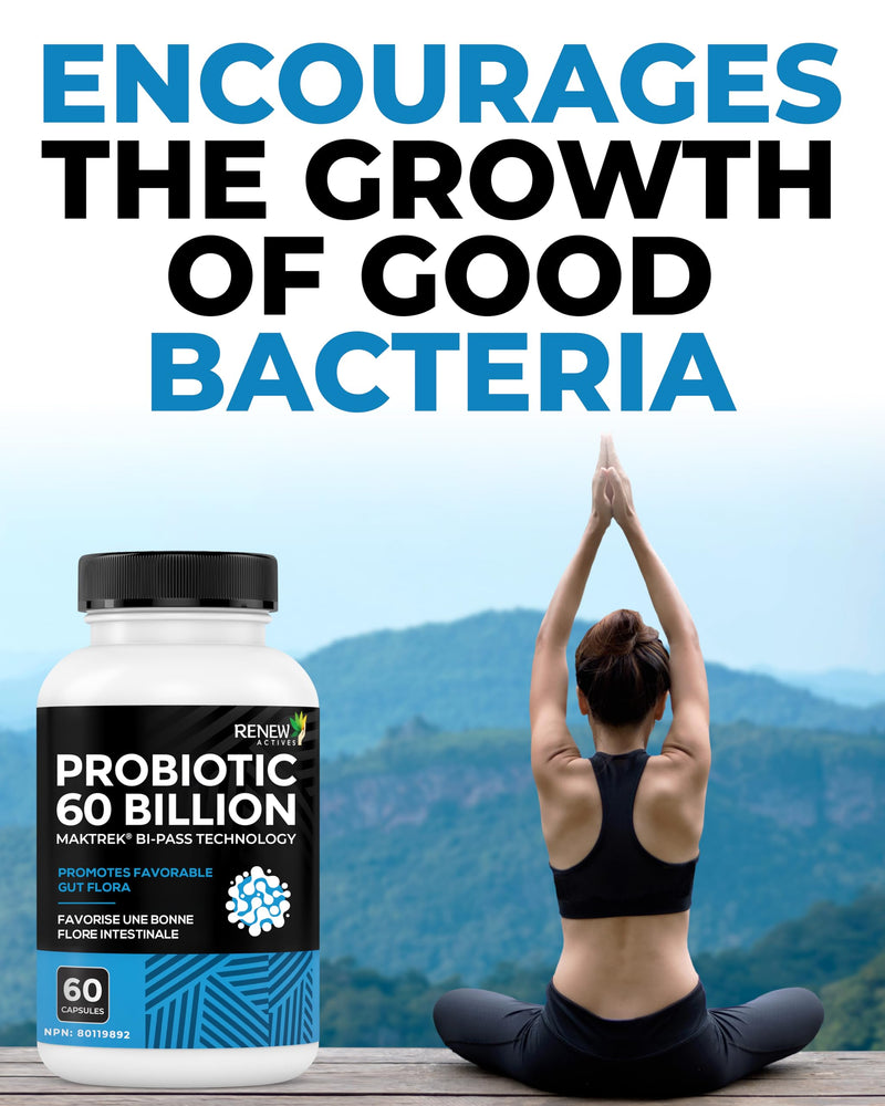 Renew Actives Probiotic Supplement for Digestive Health 60 Billion CFU per 2 Capsules - Advanced Formula with Prebiotic Benefits - Supports Gut Flora Balance & Wellness - Made in Canada - 60 Capsules