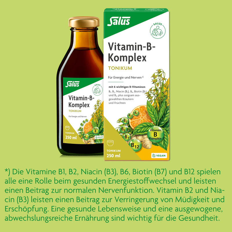 [Australia] - Salus - Vitamin B complex - 1x 250 ml tonic - dietary supplement with B vitamins - for energy and nerves - with 6 important B vitamins - vegan 250 ml (pack of 1) 