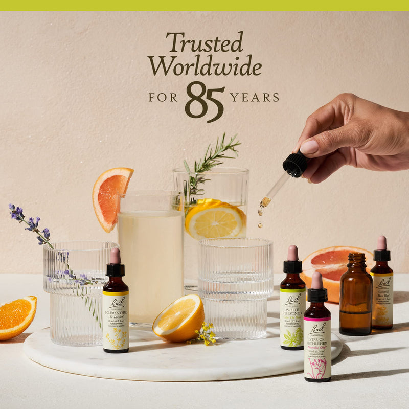 [Australia] - Bach Original Flower Remedies, Olive for Energy (Non-Alcohol Formula), Natural Homeopathic Flower Essence, Holistic Wellness and Stress Relief, Vegan, 10mL Dropper 