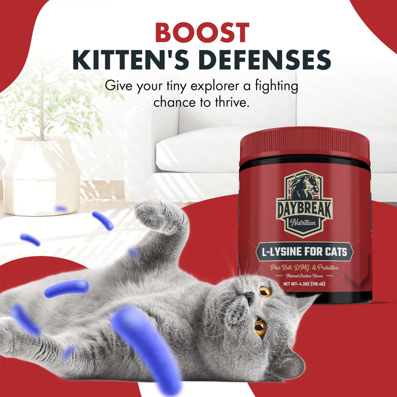[Australia] - L-Lysine for Cats and Kittens - 900 mg L Lysine Powder for Cats for Immunity & Respiratory Support - Cat Supplement with L-Lysine, Prebiotics, Krill, & DMG for Immune System, Eye Health & Sneezing 