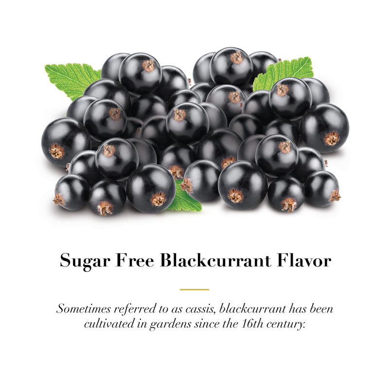 [Australia] - Dr. Doolittle‚Äôs Sugar Free Soft Fruit Pastilles for Voice and Throat, Blackcurrant Flavor, 2.12 Ounce Tin, approximately 25 Count Package Blackcurrant Sugar Free 25 Count (Pack of 1) 