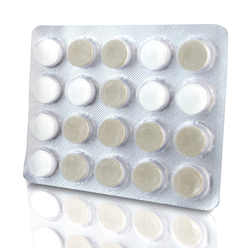 [Australia] - Oracoat XyliMelts for Dry Mouth Night Time or Day - Moisturizing Dry Mouth Adhering Discs, Sugar Free with Xylitol, 40 Count - 6 Pack, Slightly-Sweet Flavor, 8-Hour Relief 