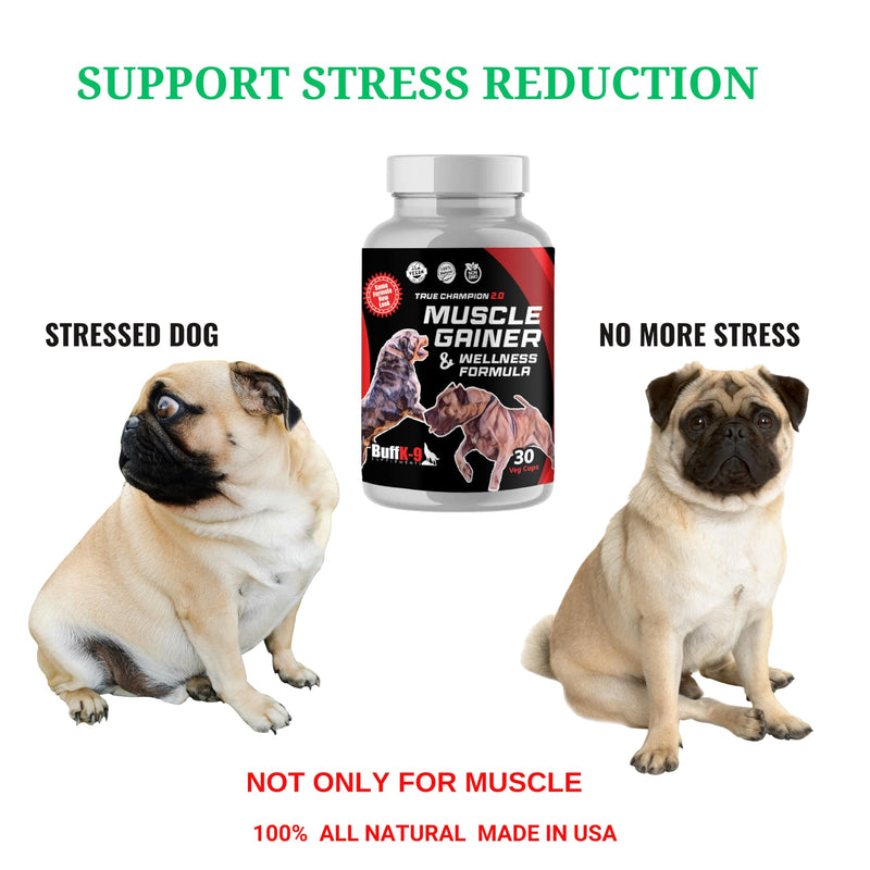 BuffK-9's 3-in-1 Dog Muscle Builder and Weight Gainer for Dogs Capsules for Puppies & Adult Dogs - All Breeds -Top Choice Canine Dog Supplement for Muscle Gains - 30 Caps - PawsPlanet Australia