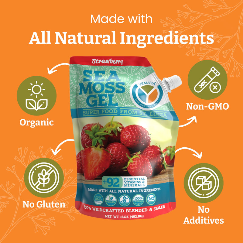 Yemayá Organic Sea Moss Gel Organic Raw | Wildcrafted Seamoss Gel Enhanced with Real Fruit, Supports Immunity, Energy, Digestion, Hair, Skin & Nails | 16 oz, Strawberry Flavor | Wildcrafted sea moss gel with real strawberry for immune and gut health su...