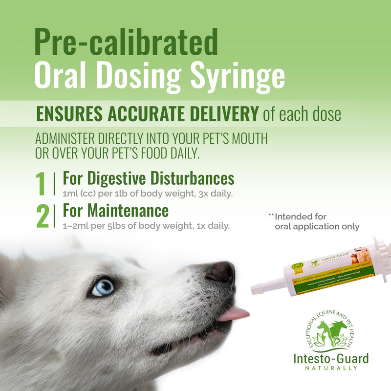 Intesto Guard Probiotics Paste 60ML/60cc Tube for Dogs & Cats Helps with Dog Diarrhea, Immune Supplements, with IgY antibodies & Made in USA - PawsPlanet Australia