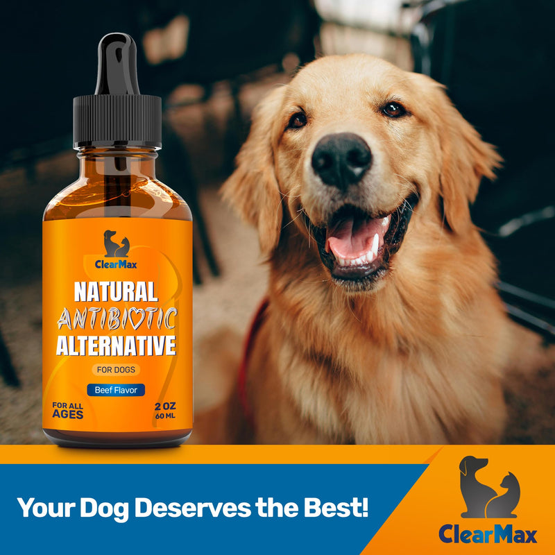 Natural Antibiotics for Dogs for Allergies, Infections, Coughs, Digestive Moments – Dog Antibiotics with Beef Flavor May Support Urination and Breathing – Organic Composition with Cranberry – 2 Oz - PawsPlanet Australia