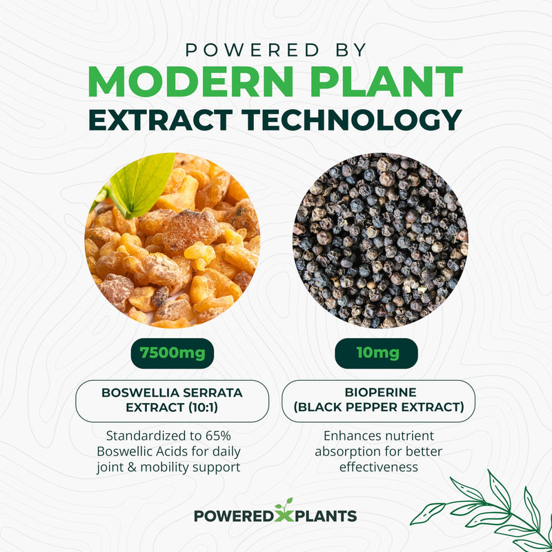 [Australia] - Boswellia Serrata Extract Joint Support Supplement by Powered by Plants ‚Äì 65% High Potency Boswellic Acids with BioPerine ‚Äì Supports Immunity, Mobility & Flexibility ‚Äì 120 Vegan Capsules 