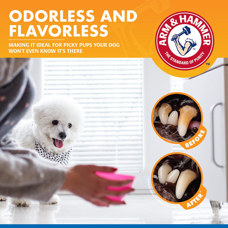 Arm & Hammer for Pets Combo Pack Dog Dental Tartar Control Water Additive and Fresh Breath Vanilla Ginger Enzymatic Toothpaste | Includes 16 Oz Dog Water Additive and 2.5 oz Dog Toothpaste - PawsPlanet Australia