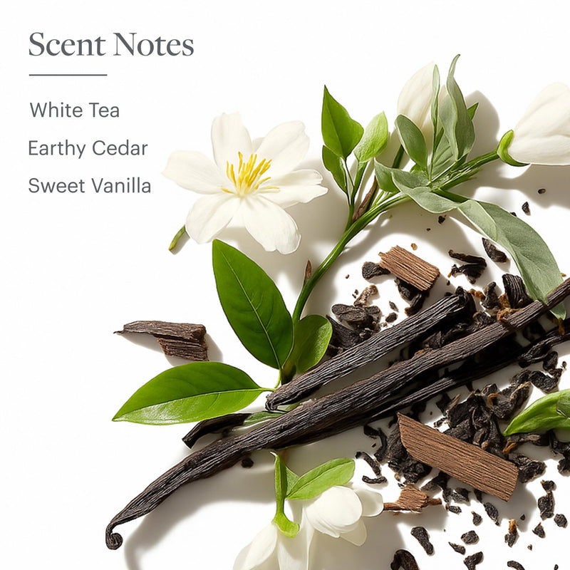 Westin White Tea Aloe Body Lotion | Hotel Spa Cream | Daily Hydration | Hand Lotion Pump | 8 oz Signature Scent Skin Moisturizer 8 Fl Oz (Pack of 1)