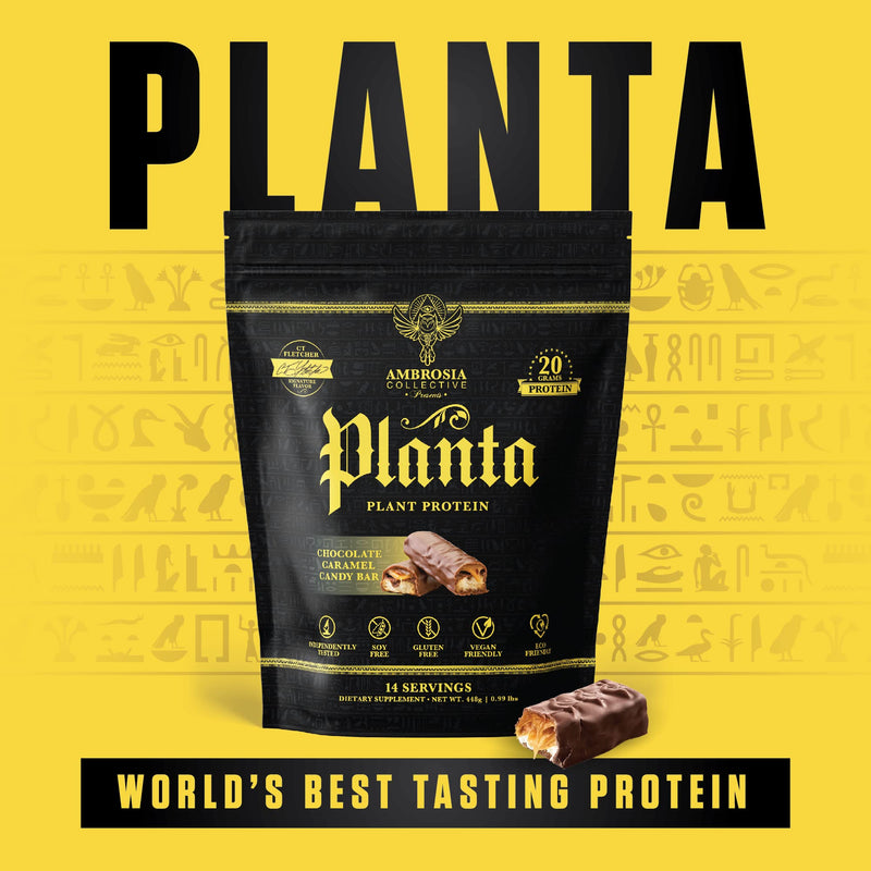 [Australia] - Ambrosia Planta - Premium Organic Plant-Based Protein | Vegan & Keto Friendly | Gourmet Flavors with No Bloating or Stomach Upset | Gluten & Soy Free | No Added Sugar | 14 Servings | (Candy Bar) Candy Bar 