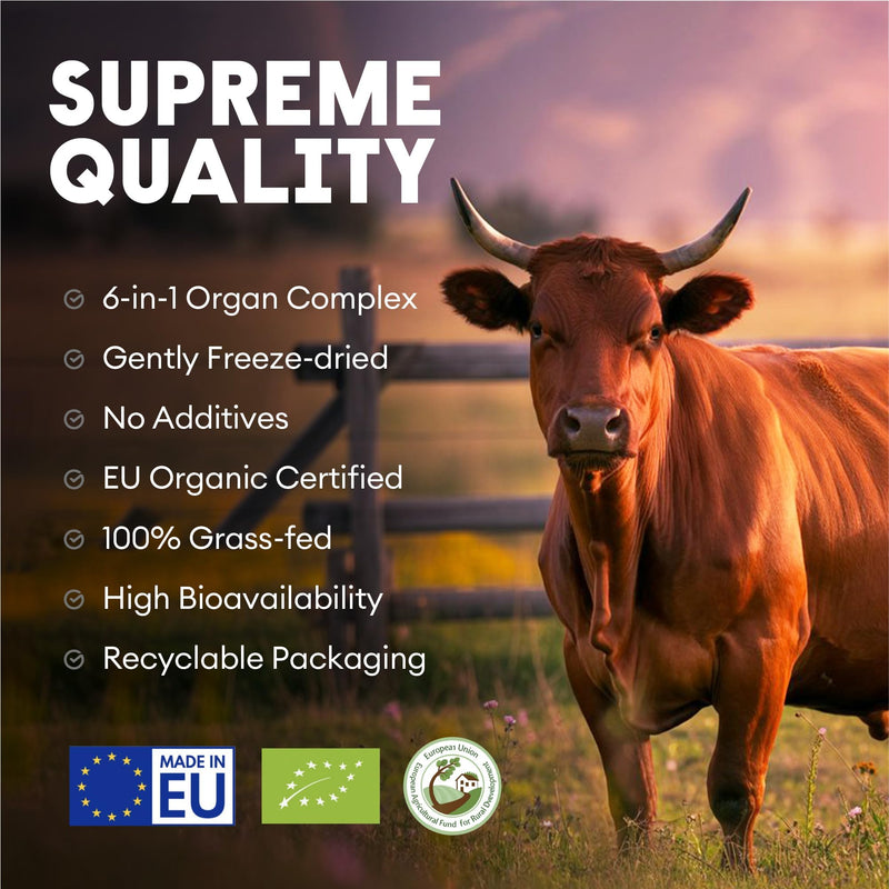 Nutriest 6-in-1 Ultimate Organ Complex (240 Capsules) – Halal Beef Organ Supplement | Organic Grass-Fed Beef from Europe | Energy, Immune System & Vitality