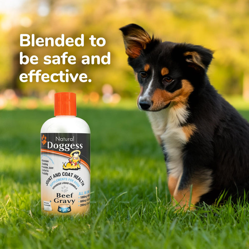 Dressing Best Hip and Joint Supplement for Dogs, Glucosamine & Chondroitin/Joint Health/Salmon Oil for Dogs Skin and Coat Health, Delicious Beef Gravy Flavor - 16 Oz Pack of 1 16 ounce Liquid Beef Gravy Supplement - PawsPlanet Australia