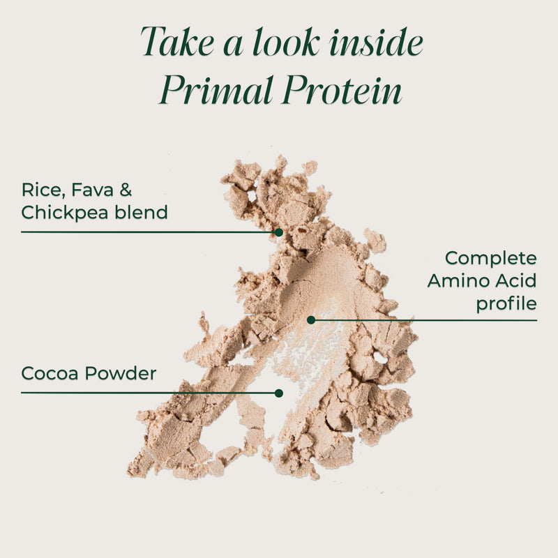 Primal Harvest Primal Protein Vegan Powder 20g Plant-Based Protein from fava Bean, Chickpea & Rice. Chocolate Flavour, Gluten-Free, Dairy-Free, Made in DE (1 Bag (15 Servings), Chocolate) 1 Bag (15 Servings)