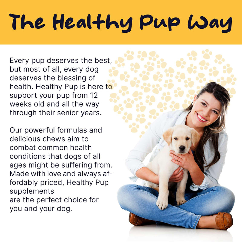 Dog Multivitamin Supplement - 120 Soft Chew Dog Vitamins and Supplements with Omega, Probiotics, Glucosamine, and More - for Small, Large, and Senior Dogs - PawsPlanet Australia