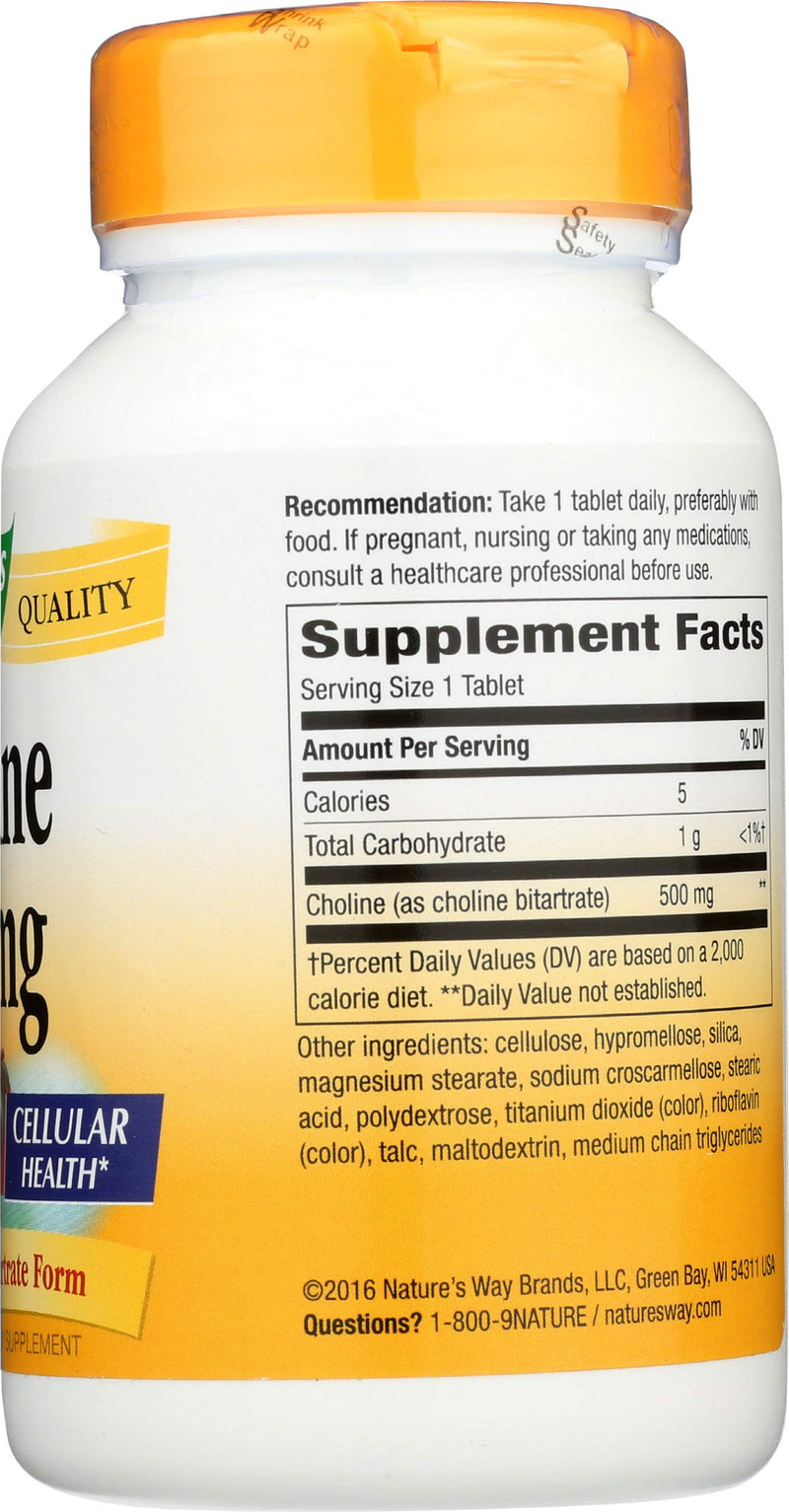 NATURE'S WAY Choline 500mg 100 Tablets