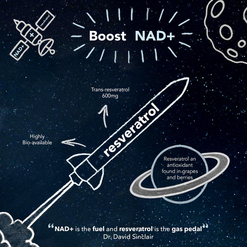 NAD+ 1200MG with Trans Resveratrol | 120 Vegan Capsules | No Fillers, Binders or Additives | Made in The United Kingdom
