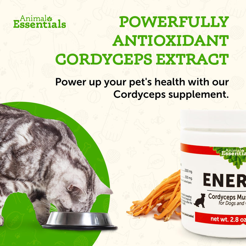 Animal Essentials Energy Cordyceps Mushroom Supplement for Dogs & Cats - Support Stamina & Endurance, Healthy Respiratory & Kidney Functions, Antioxidant, Mushroom Powder Extract - 2.8 Oz (Pack of 1) - PawsPlanet Australia