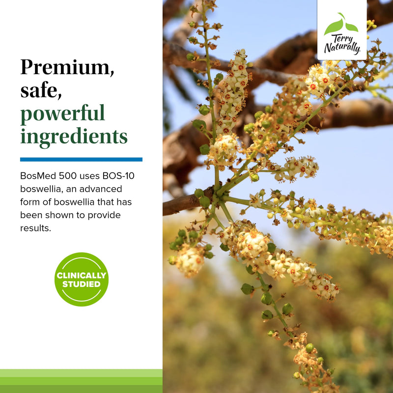 [Australia] - Terry Naturally BosMed 500 Extra Strength - Boswellia Serrata Extract - Supplement for Healthy Lung Support - Herbal Supplement Formula with High Levels of AKBA - 120 Softgels 