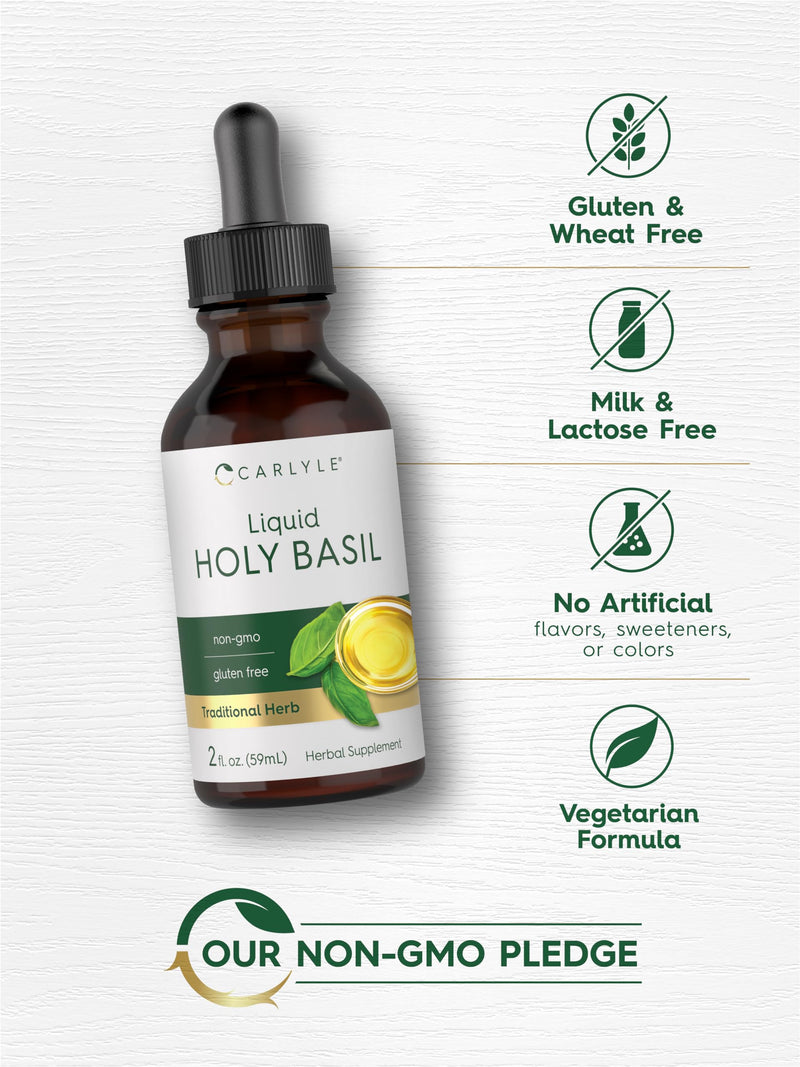 Carlyle Holy Basil Extract Liquid | 2 Fl Oz | Tulsi Herb Tincture | Vegetarian | Non-GMO, Gluten Free Supplement