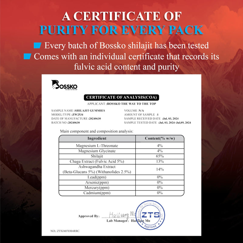 [Australia] - 1400 mg Shilajit Gummies Organic with Magnesium Glycinate L-Threonate B12,with Lab Test | 85+ Trace Minerals Fulvic Acid,45 serving Pure Himalayan Shilajit for Men & Women | Sugar-Free, 90 count 