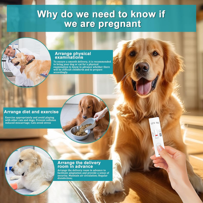 Dog & Cat Pregnancy Test Kit at Home,Dog Urine Test - Urine-Based, 98.8% Accurate, 10-Minute Results, Painless(1 PCS) 1 pcs
