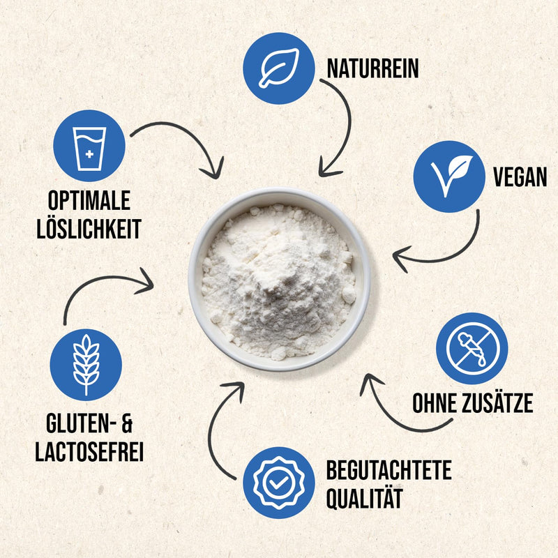 [Australia] - RheinNatur Inulin powder 1 kg - 100% inulin from chicory root - Vegetable fiber - Supports healthy intestinal flora - 1000 g bag 