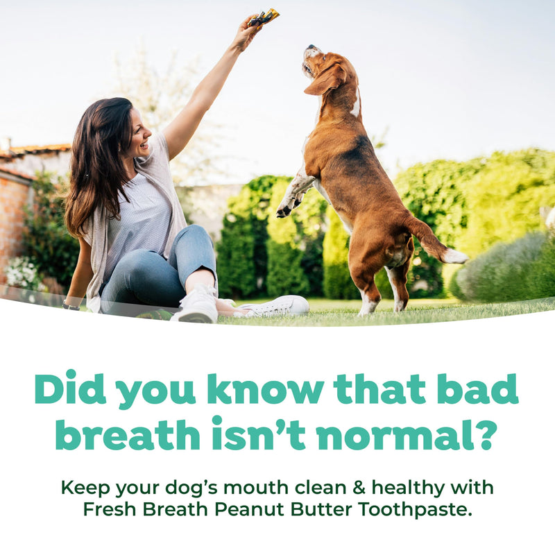 [Australia] - TropiClean Fresh Breath - Kong Dental Ball for Medium Dogs - Dog Teeth Cleaning Kit - Removes Plaque - Peanut Butter & Honey Dog Toothpaste, 1oz 