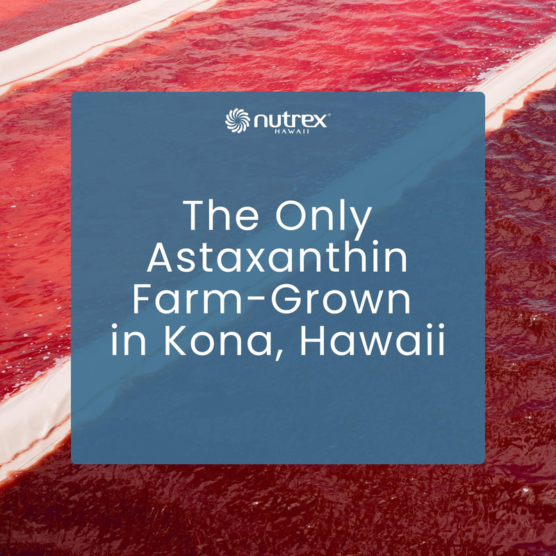 Nutrex Hawaii BioAstin Astaxanthin 4 mg Softgels – Natural Astaxanthin Formula with Vitamin E, 120 softgels, one Capsule Every Day