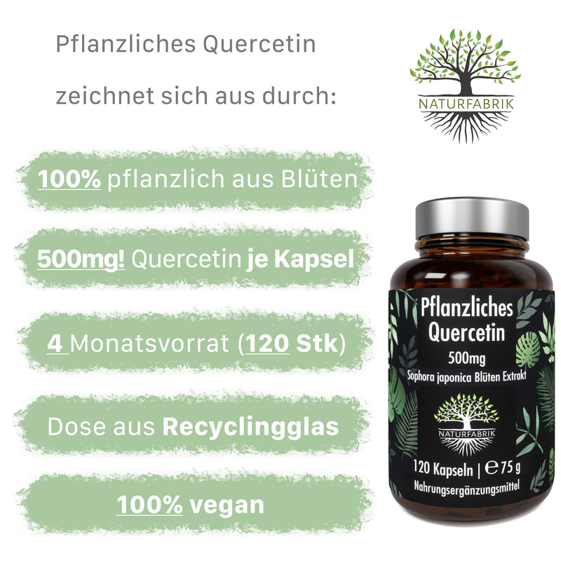[Australia] - NATURFABRIK Quercetin 500mg | 120 capsules | 100% pure Sophora japonica flower extract from Japanese string tree | high dose | 4 month supply | Made in Germany 