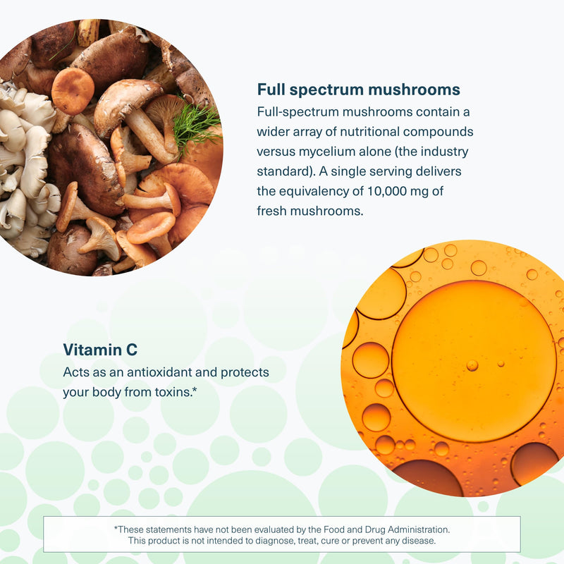 Youtheory Immune+ Daily Wellness, 60 Vegetarian Capsules, 20-Day Supply | Vegetarian Immune Support with Vitamin C, D3, and Zinc*, Mushroom Blend with Turkey Tail, Cordyceps, and Reishi