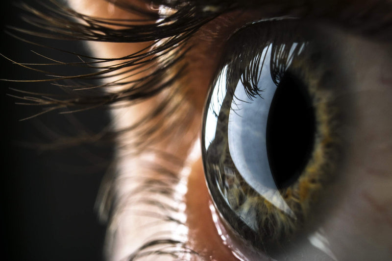 [Australia] - Avizor Moisture Drops Avizor, hyaluronic moistening drops, pack of 1 (1 x 15 ml) 