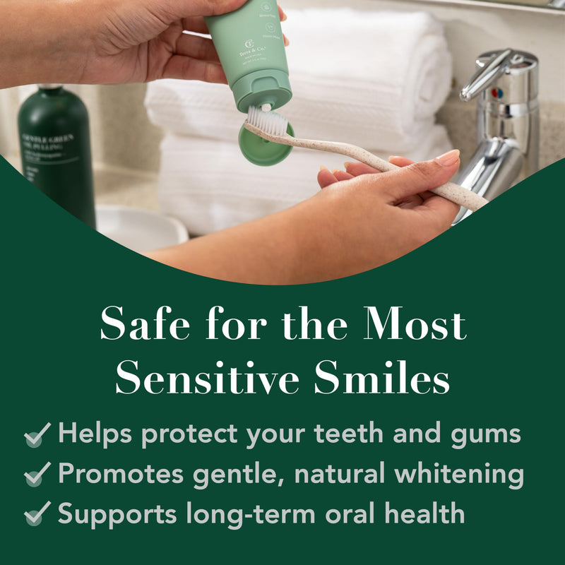 [Australia] - Terra & Co. Toothpaste Combo - Brilliant Black & Gentle Green Formulas for Sensitive Teeth - US-Made - Natural, Vegan, Remineralizing Micro-Hydroxyapatite - Fluoride-Free & SLS-Free - Mint, 3.4 Oz 
